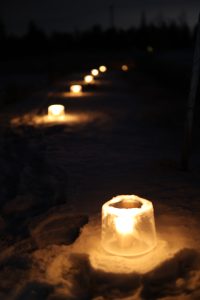 Monta jäälyhtyä tienvierustalla piemässä.